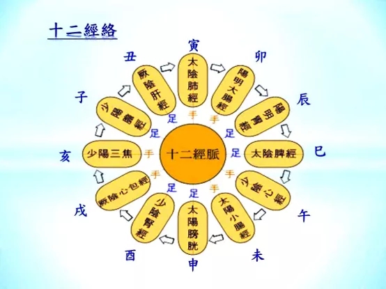 河洛八寶通背強腎功(圖4)