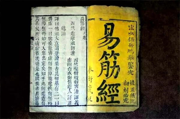 河洛八寶通背強腎功(圖5)
