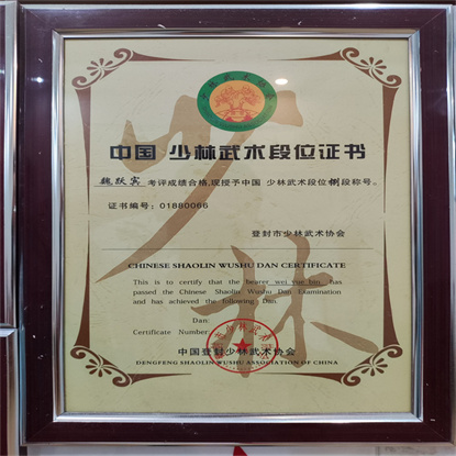 中國少林武術段位      